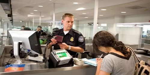 美国海关工作人员在电脑前忙碌处理文件