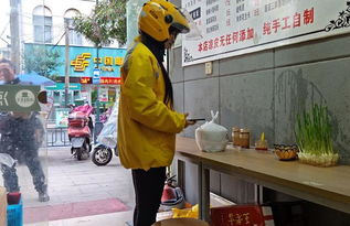 【尘事】我的潦草午餐丰盛晚餐