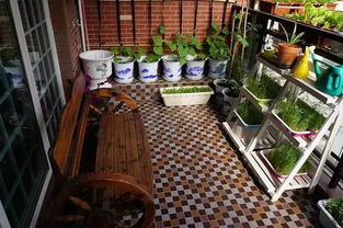 母亲节的惊喜，从一份心意开始——我为妈妈准备的小浪漫