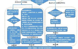 非法代孕产业链流程示意图