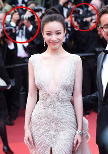 刘亦菲在红毯上被陈晓提裙摆