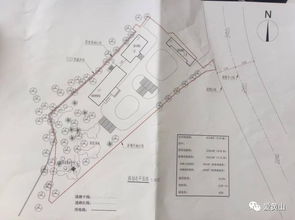 地震监测中心数据图示