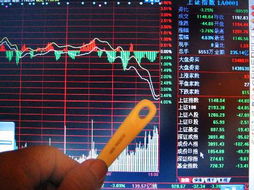 股民查看股市行情