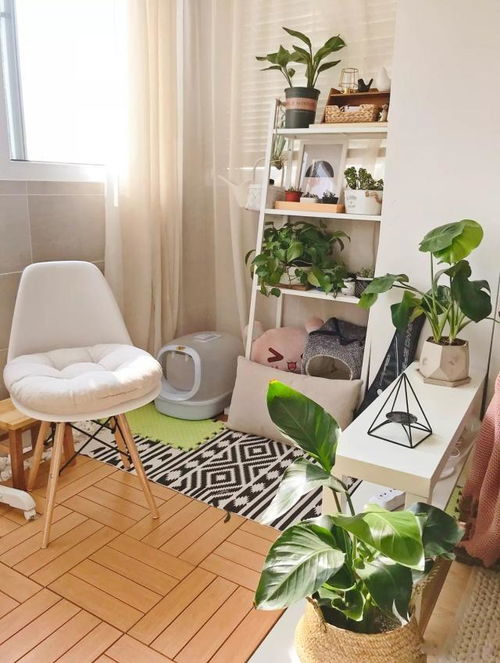 两人坐在阳台喝茶聊天