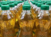 别再乱养生！这些常见健康误区，你可能天天在犯