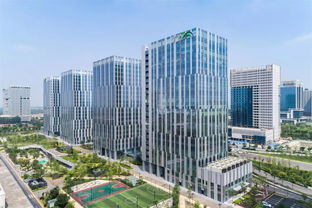 西安高新区科技园内的科研人员工作场景