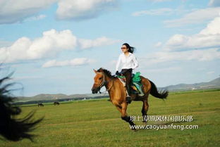 丁真在草原上骑马微笑
