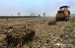 农民查看被冰雹打坏的庄稼