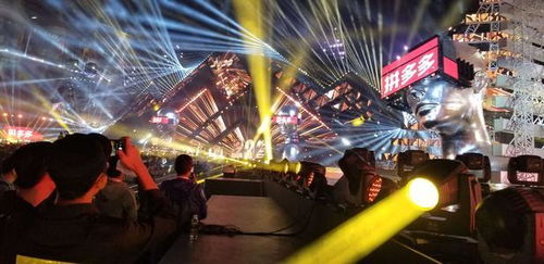 粉丝演唱会现场