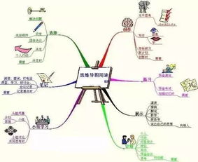 思维导图展示多种选择