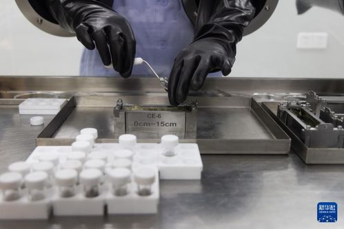 科学家在实验室观察二维金属样品