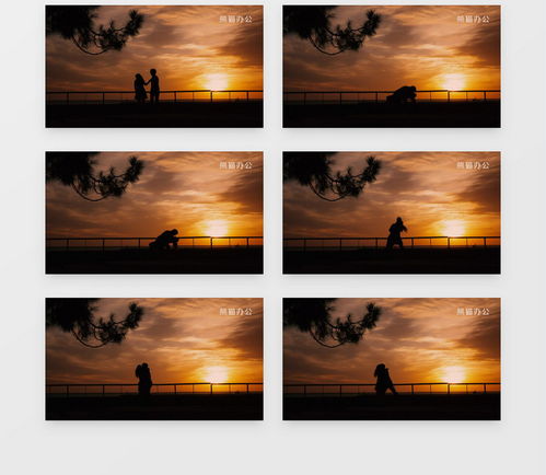 情侣在海边夕阳下拥抱