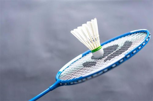 羽毛球价格上涨对比