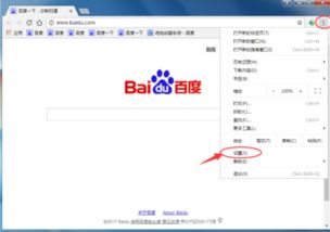 谷歌浏览器设置界面启动时选项