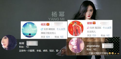 粉丝讨论明星学历话题