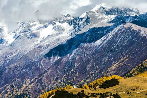 四姑娘山自然风光