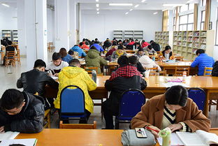 考生在图书馆认真复习准备面试