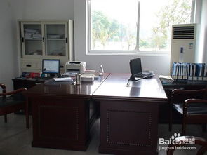 办公室中年轻人使用电脑工作的场景