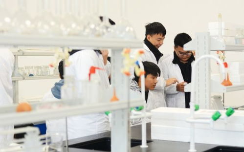 学生在实验室专注研究