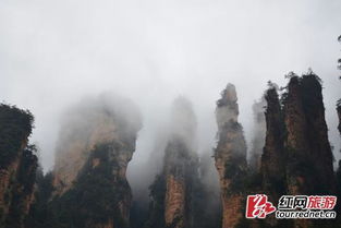 张家界云雾缭绕的山峰如同阿凡达场景