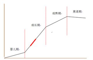 写作带来的收入增长曲线图