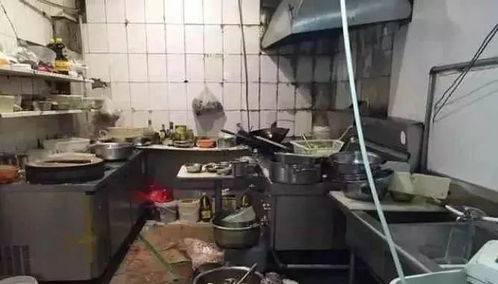 外卖厨房卫生条件恶劣现场图