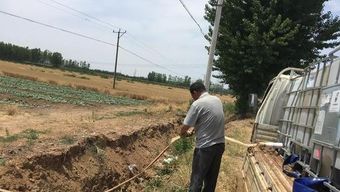 村支书回应村里浇地180元每小时，真相竟出乎意料？