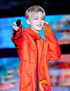 鹿晗亚巡北京站获批，粉丝狂喜！万人期待的舞台即将开启