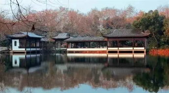 淮水竹亭连花絮都像回忆录，抖音上的诗意瞬间让我泪目