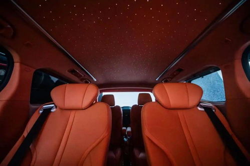 魏牌高山车内智能座舱展示