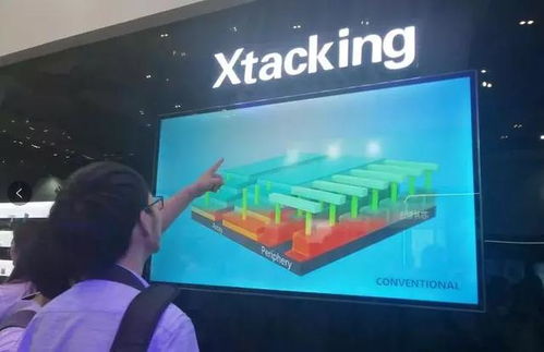 紫光集团原董事长赵伟国被判死缓，背后真相令人唏嘘