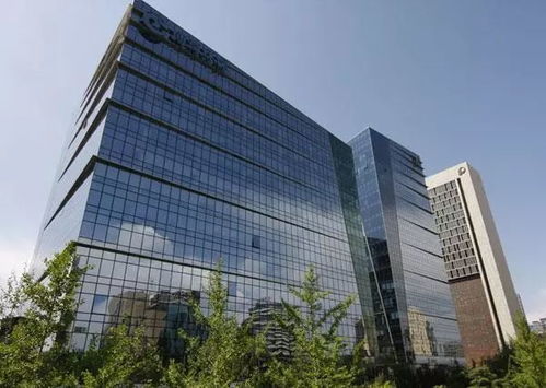 我的深圳故事（完稿）