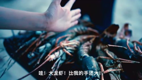 电影《独一无二》终极预告曝光，全网热议：这才是青春该有的模样！