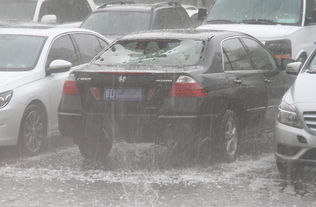冰雹砸坏车辆前引擎盖的照片