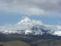 三部大剧同一天官宣！《生命树》《三人行》《笑傲江湖》引爆观众期待