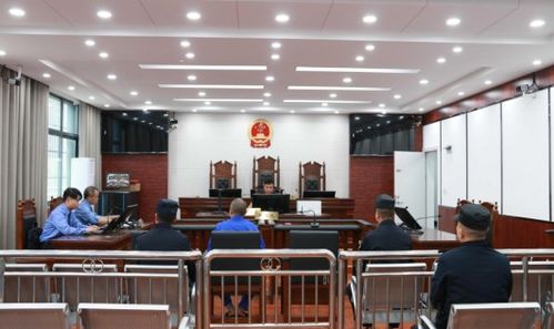 抖音又陷侵权风波！小米聚好看案二审维持原判，网友热议不断