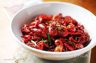 小龙虾价格腰斩 业内：还会再降 | 我的吃虾自由终于来了