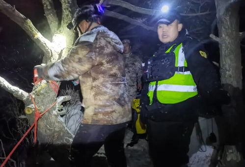 志愿者在山区开展搜救工作的场景