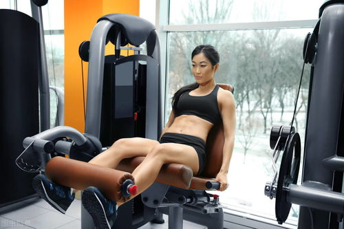 健身房中进行腿部力量训练