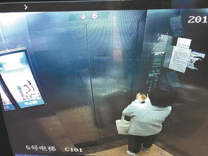 电梯内部监控截图