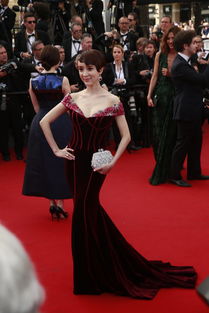 戛纳电影节红毯现场全景