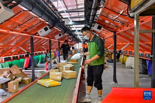 快递查询新技巧：一键批量查询物流动态，快速获取今日最新更新单号