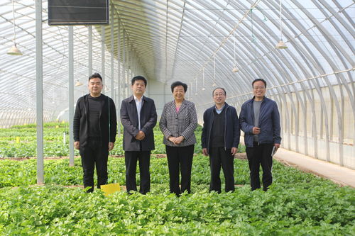 乡村振兴第一书记调研村庄发展