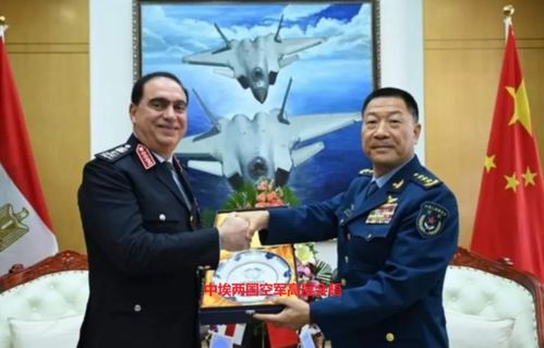 埃及空军歼-10CE战机