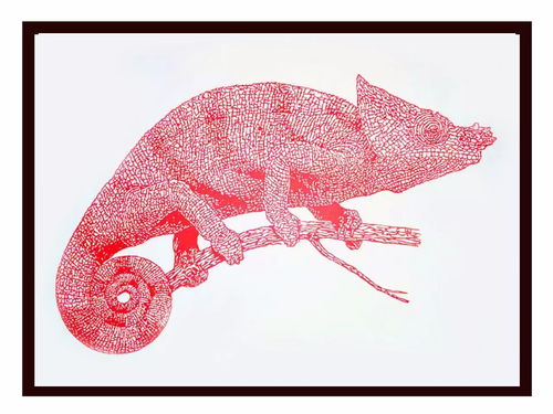 母亲节献礼｜一罐深山自然蜜，甜润时光里的母爱芳华