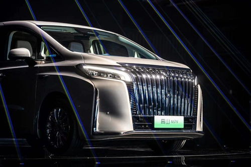 魏牌高山MPV行驶