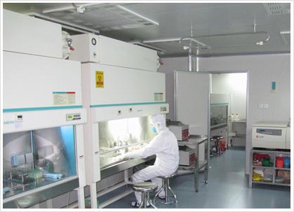 科学家在实验室进行细胞培养实验