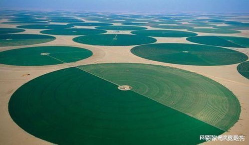 中东国家发展高科技产业