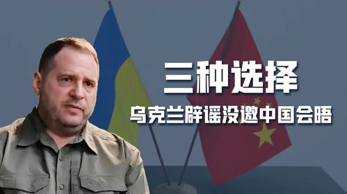 中乌高层会晤现场