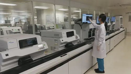 现代化的血液检测实验室场景